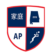 AZ Performance Volleyball logo