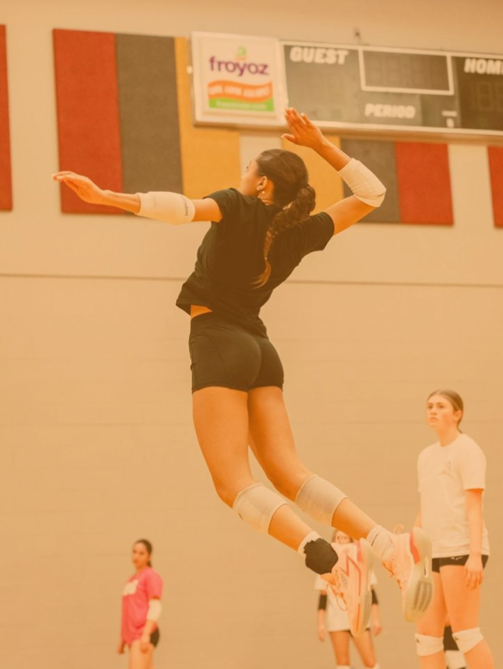 865 Volleyball logo
