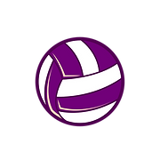 Brainerd Northern Heat logo