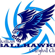 Chatham Ballhawks Volleyball Club logo
