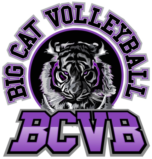 Big Cat Volleyball logo
