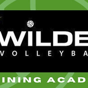 Wild Volleyball logo