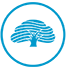 South Strand Heat logo