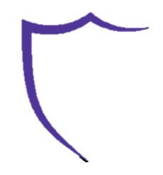 Carolina Alliance Volleyball Club logo