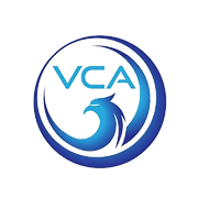 Volleyball Collective Academy logo