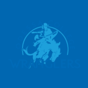 Odessa 4G VBC logo