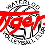 Waterloo Tigers logo
