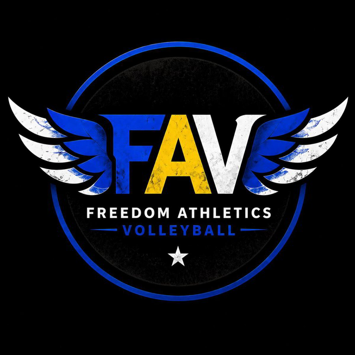 Freedom Volleyball Club logo