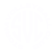 Storm Volleyball Club logo