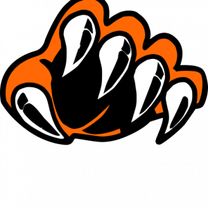 Pine River Volleyball Club logo