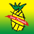 Pineapple High Performance logo