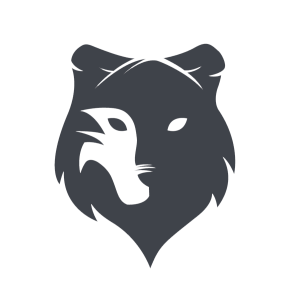 NJ RONIN logo
