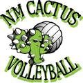 Club Z Volleyball logo