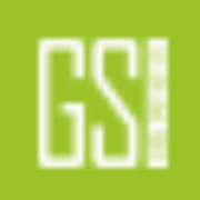 Global Sports Institute logo