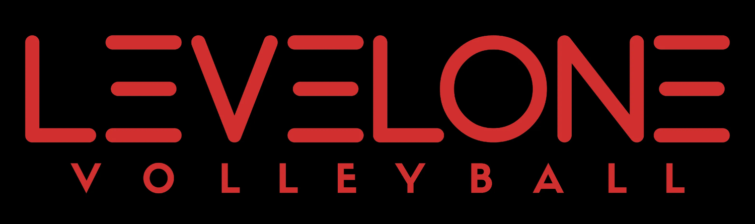 LevelOne Volleyball logo