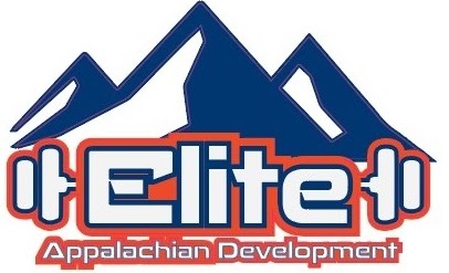 Appalachian Aces Volleyball Club logo