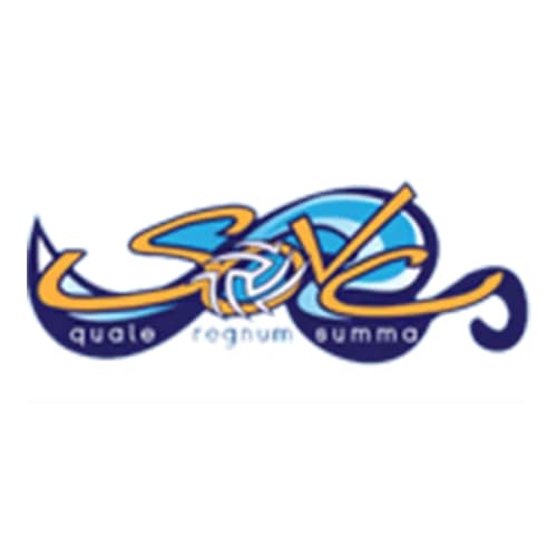Ladies Of Southern Ohio logo