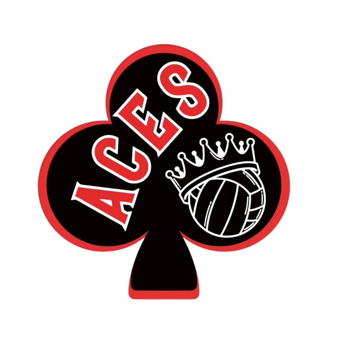 Lady Aces Volleyball Club logo