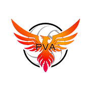 Phoenix Volleyball Academy logo