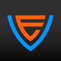Vanguard Elite Volleyball Academy logo