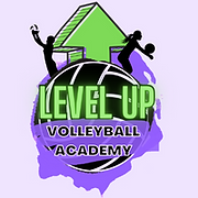 Level Up Volleyball logo