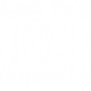 Storm Volleyball Club logo