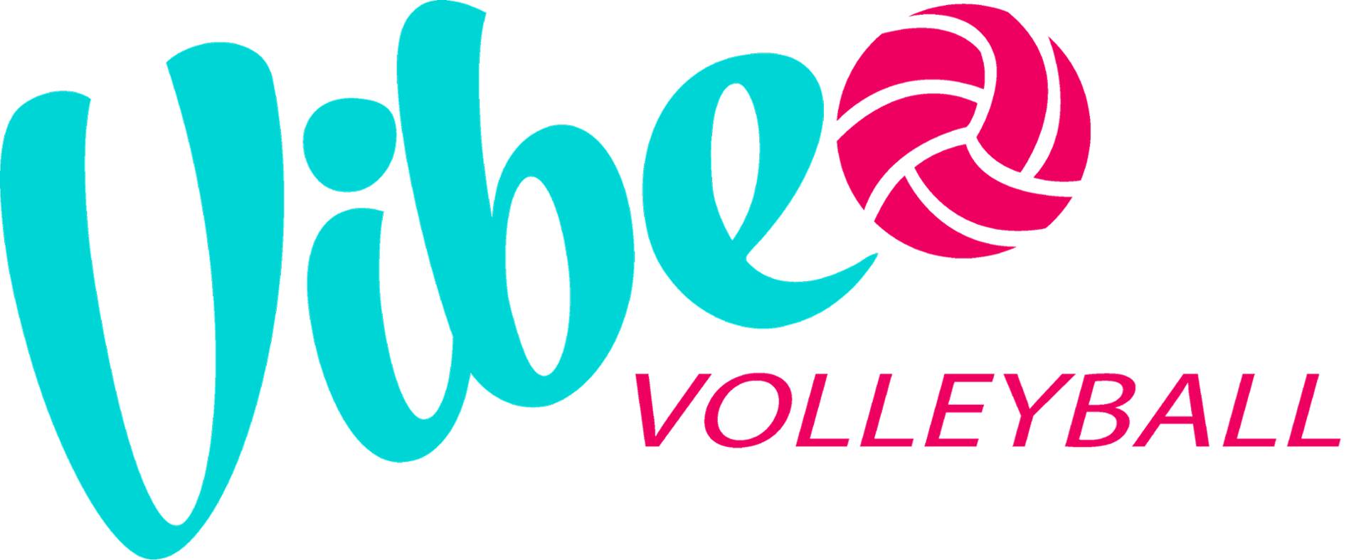 VIBE VOLLEYBALL  LLC logo