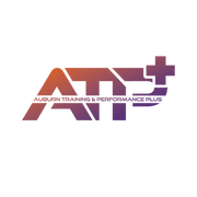 Venetian Bay Volleyball Club Auburn logo
