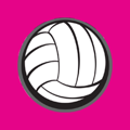 Net Ninjas logo