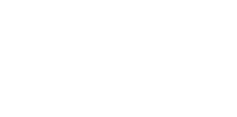 Elevate Volleyball logo