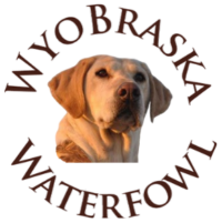 WyoBraska Sky logo