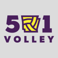 501 Volley logo