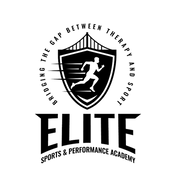 Level Elite Sports logo
