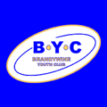 Brandywine Volleyball Club logo