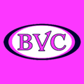 Bakersfield Volleyball club logo