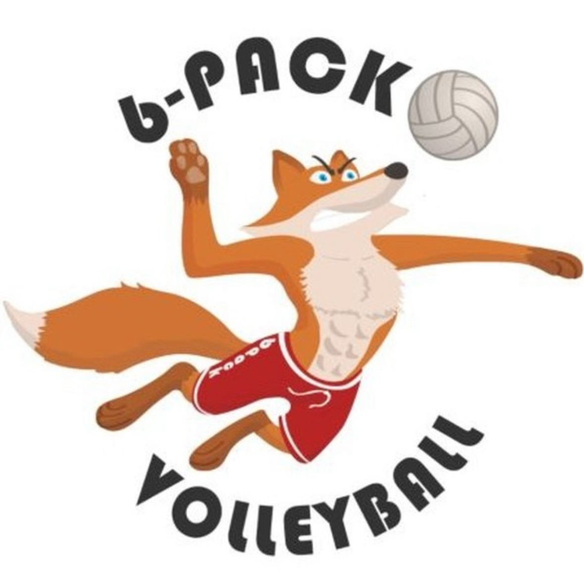 Bi-County Wolf Pack logo