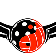 Impact Dynamic Volleyball Club logo