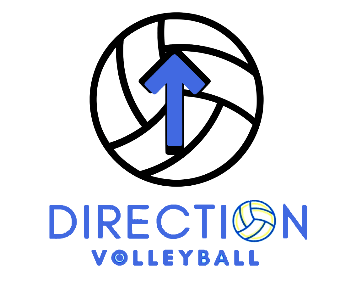 D.O.V.E. Volleyball logo