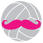 Dig This! Volleyball Club logo