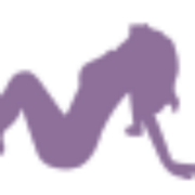 Cheetah West logo