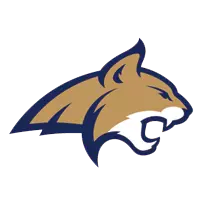 Montana Volleyball Academy logo