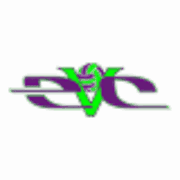 Eich's Volleyball Club logo