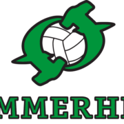 Hammerhead Volleyball Club logo