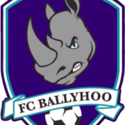 BALLYHOO VOLLEYBALL CLUB logo