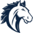 North Branch Volleyball Club logo