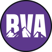 Biltmore Volleyball Academy logo