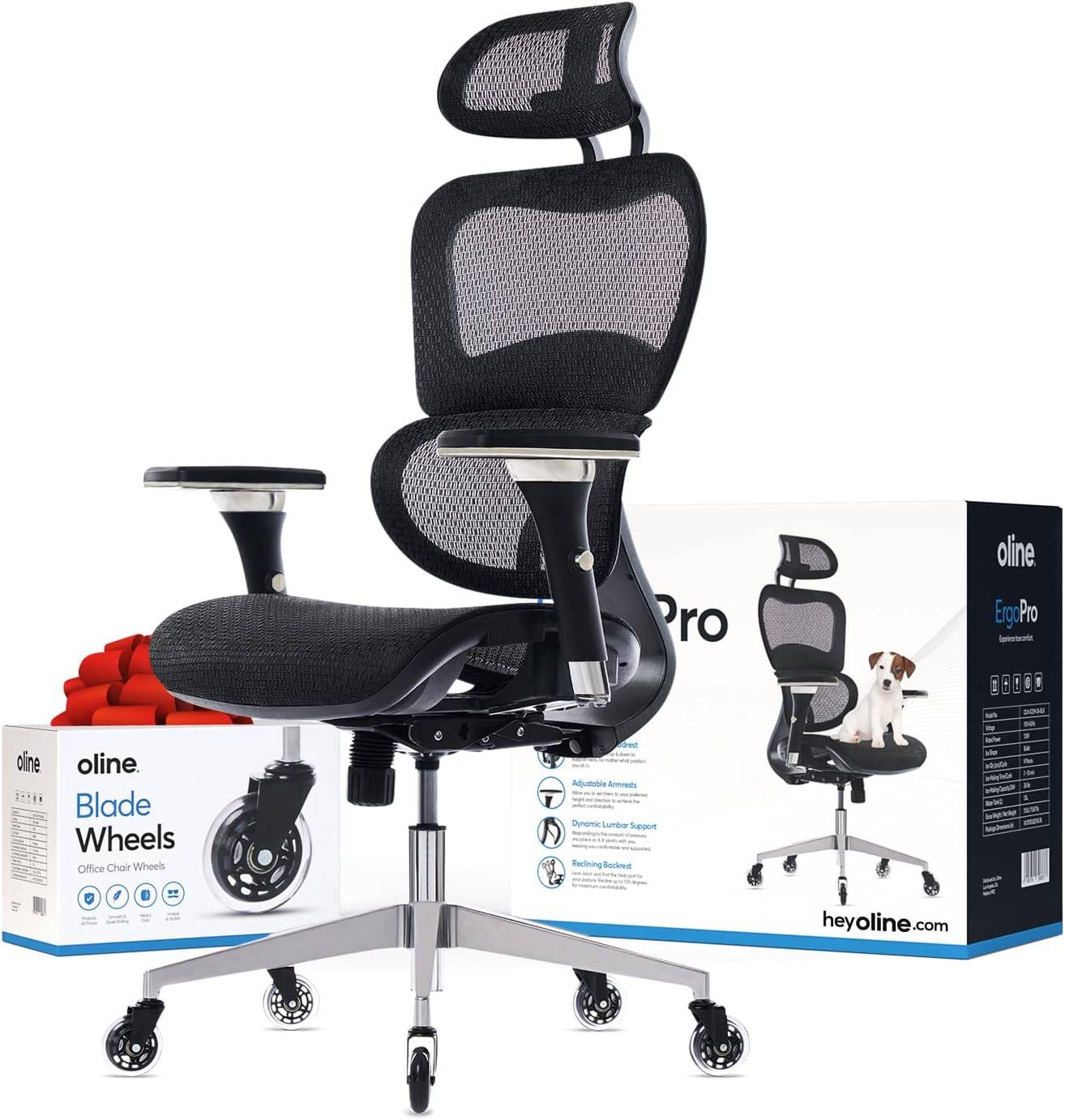 ErgoPro Office Chair (1 of 1)