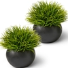 Fake Plants