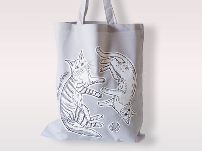 Grey Maine Coon Cats Bag