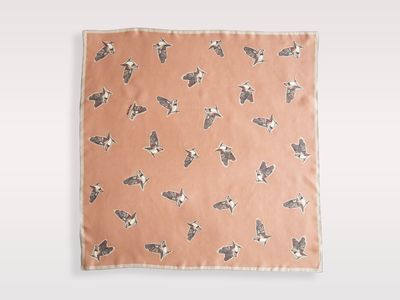 Pink Amadina Birds Scarf